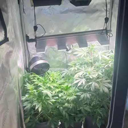 Fast Buds Outdoor 2025