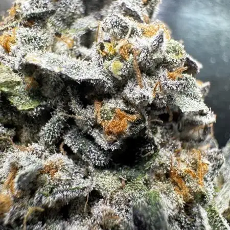 Cali strains 2025
