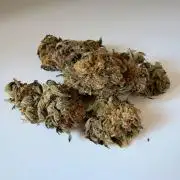 Fruity Cali Strains