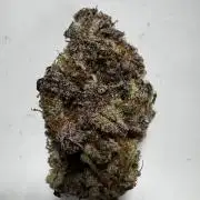 Grounded Genetics New Drops