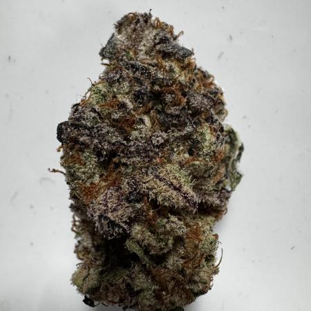 Grounded Genetics New Drops