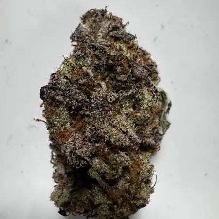Grounded Genetics New Drops