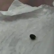 Growing in the winter