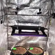 RQS F1: Hyperion and Titan