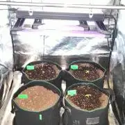 RQS F1: Hyperion and Titan