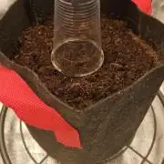 #3 AUTORUN - CANNA - Apple Strudel Auto (FB) - The 2nd, smaller