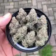 Cereal Milk (Clone)