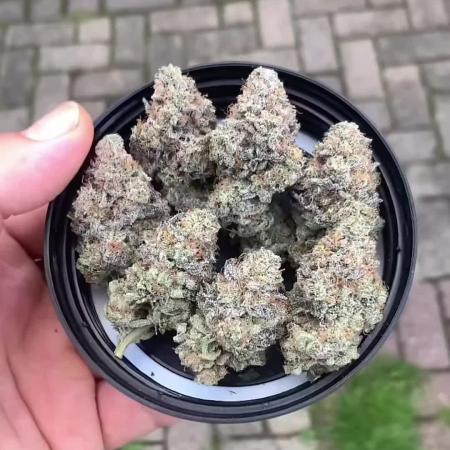 Cereal Milk (Clone)