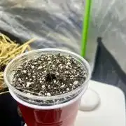 Chicken ‘n Wafflez