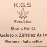 Runtz korngarden Shop