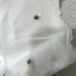 Strawberry 🍓 gorilla 🦍  auto