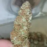 Prova nuova terapia CREAMZILLA