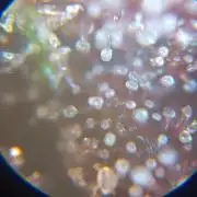 Strawberry 🍓 gorilla 🦍  auto