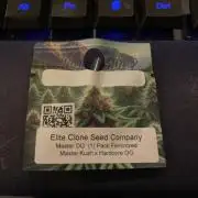 Master OG Elite Clone Seed Company