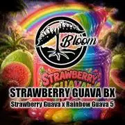 •Strawberry Guava BX•