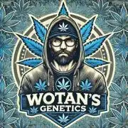 • WOTAN 2 •