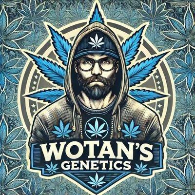 • WOTAN 2 •