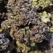 Lemon Cherry Cookies - Second Indoor