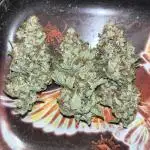 first time in coco grow