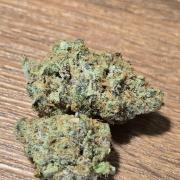 @Grow4Releaf