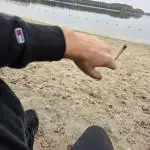 Titan F1 RQS- AliExpress-TEMU Growing