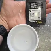 Cookies 🍪 🍪  Monster