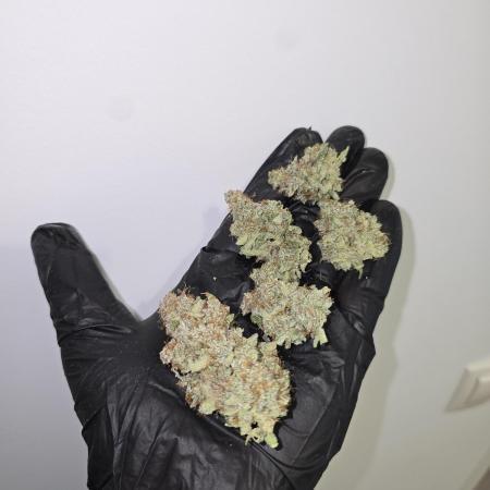 Titan F1 RQS- AliExpress-TEMU Growing