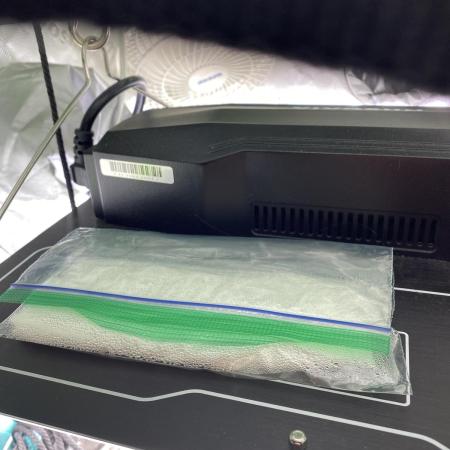 First grow in 2 years