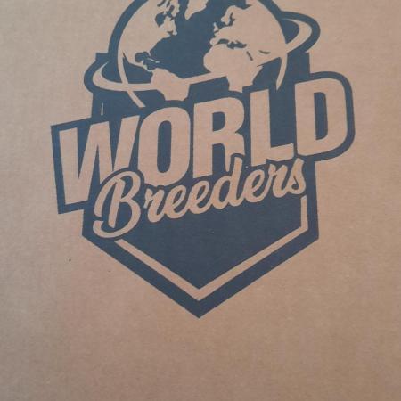 Hidden Vice(World Breeders)