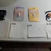 The Hippopotamus's Garden 1