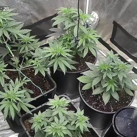 Indoor#2