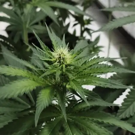 Indoor#2
