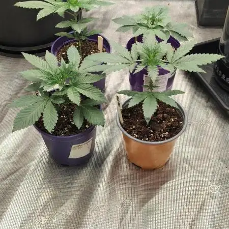 Indoor#2