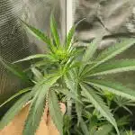 Indoor#2
