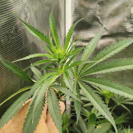 Indoor#2