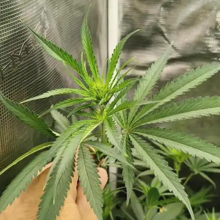 Indoor#2