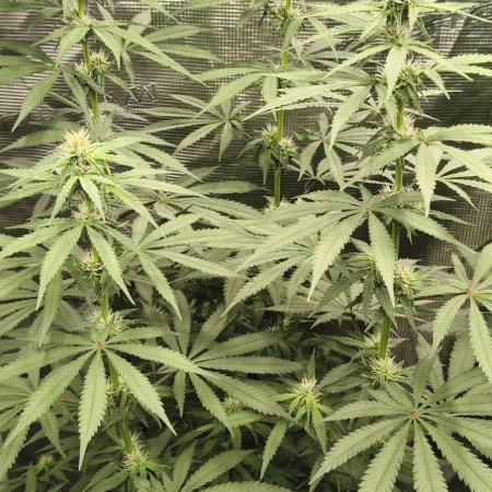 Indoor#2