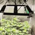 Indoor#2