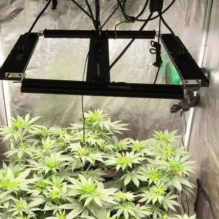 Indoor#2