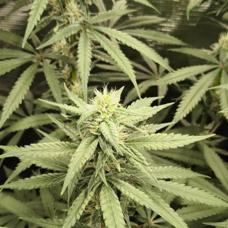 Indoor#2