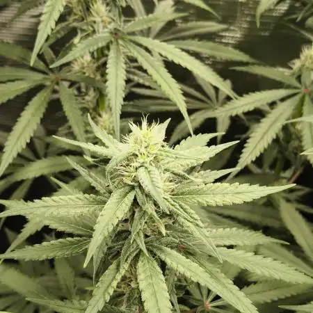Indoor#2