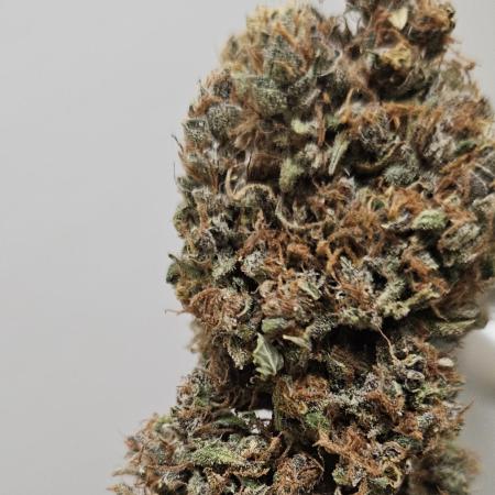 Fastbuds/Mephisto mix 2025