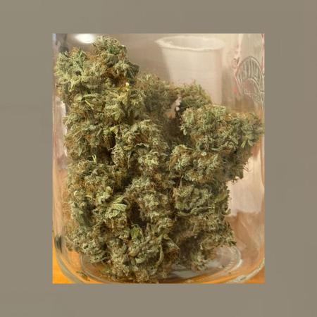 Unknown Autoflower #1