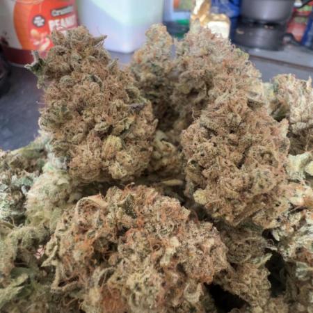 Zamnezia  2025 attempt : RUNTZ