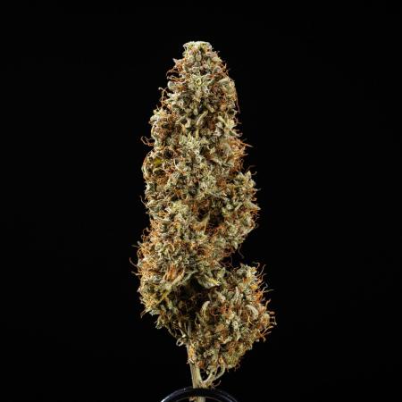 Royal Cookies - Farm #19