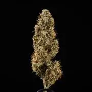 Royal Cookies - Farm #19