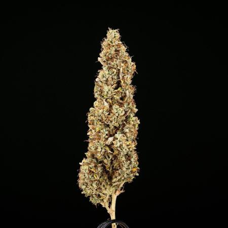 Wedding Cake - Farm #23