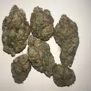 Sunset sherbert go fast