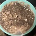 Ddos#33🇺🇸🔥👌