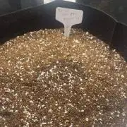 Banana Purple Punch Autos - 1st Grow!